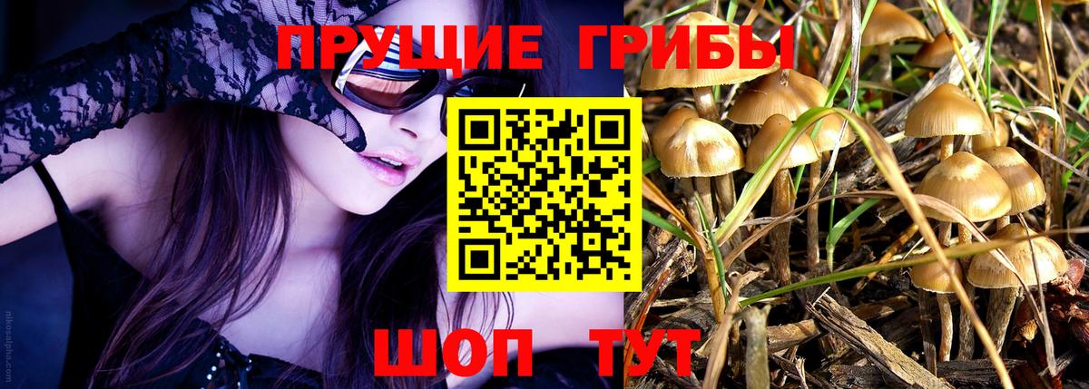 Псилоцибиновые грибы Magic Shrooms Чайковский