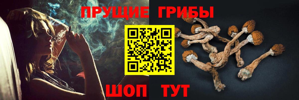 Чайковский  Галлюциногенные грибы MAGIC MUSHROOMS  Вход с VPN 